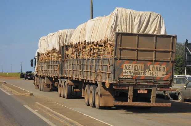 MPE questiona lei que altera regras para transportes de madeira em Mato Grosso Foto59127
