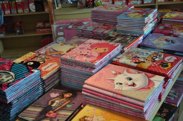Preço de material escolar chega a ter cerca de 130% de diferença em Mato Grosso Foto6601