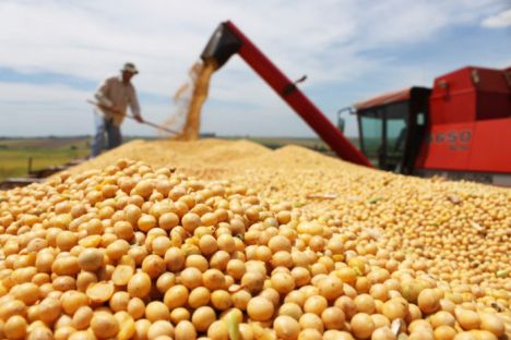 Mato Grosso tem 179 inscritos em desafio nacional de produtividade da soja Foto36996