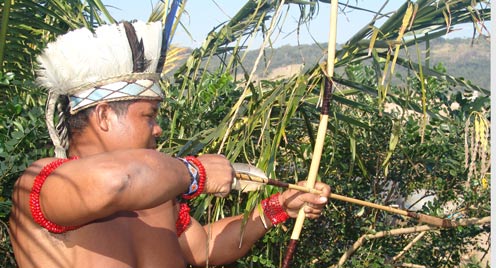 Um milhão de indígenas brasileiros buscam alternativas para sobreviver Foto80846
