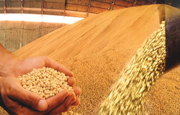 Com safra recorde, Brasil se aproxima da liderança na soja Foto58148
