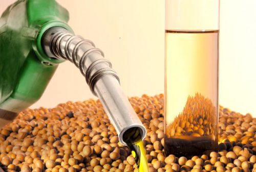 Entidades pedem à ANP retomada da mistura de 10% do biodiesel ao diesel Foto72646