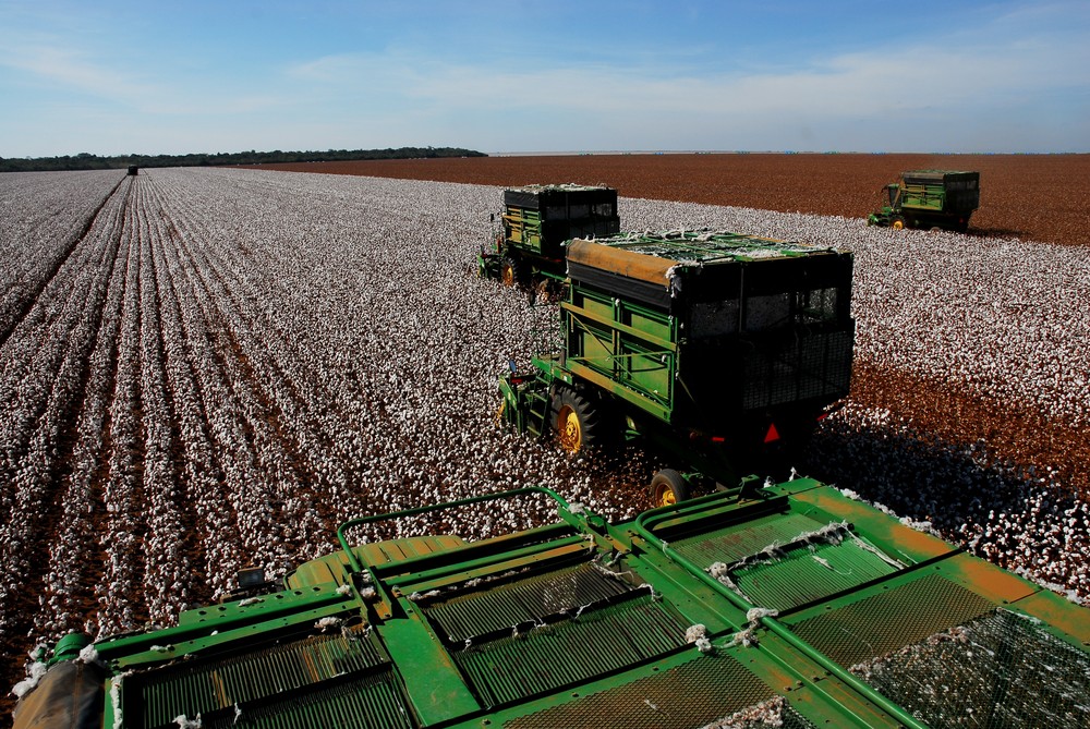 MT deve colher mais de 25% da produção de grãos, cereais e oleaginosas do país na safra 2018 Foto85558