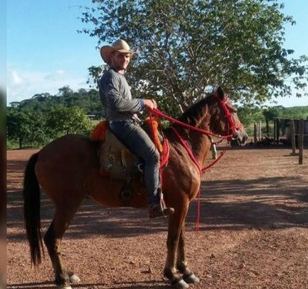 Jovem morre ao sofrer descarga elétrica enquanto cortava árvore com facão Foto24706