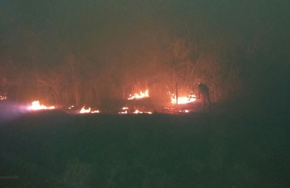 MT tem 3 mil focos de incêndio nos primeiros cinco meses do ano Foto58526