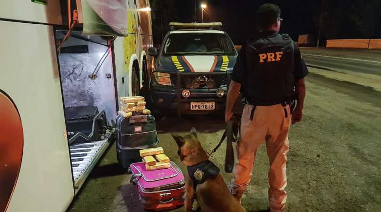 Cães farejadores encontram 30 kg de droga em bagageiro de ônibus; adolescente de 17 anos é detida Foto25393