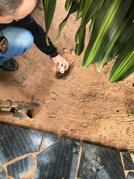 Traficante enterrava cocaína no quintal de casa Foto26840