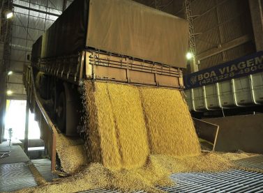 Valor do frete cai na semana, mas ainda está até 72% mais caro que em 2017 Foto48924