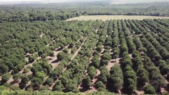 Começa nesta segunda o prazo para entrega da declaração do imposto sobre área rural Foto28274