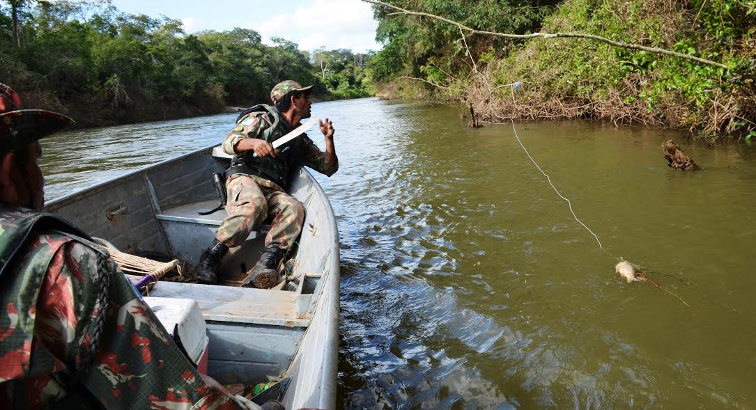 Piracema começa em Mato Grosso e pesca é proibida até 31 de janeiro nos rios estaduais Foto60394