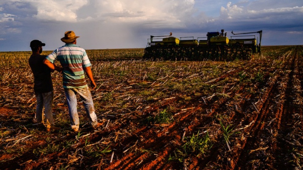 Produtores de Sorriso temem baixa rentabilidade devido ao custo de produção da soja Foto59701