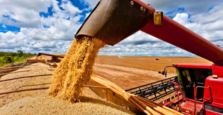 PIB de Mato Grosso chega a R$ 123,8 bi em 6 anos Foto77424