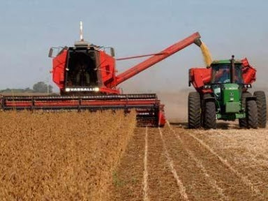 Expansão em Mato Grosso supera média nacional Foto57523