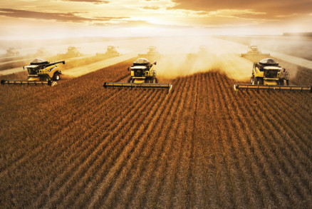 Agro fica estagnado e economia do País cresce 1,1% em 2018 Foto97225