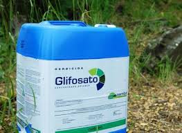 Estudo conclui que Glifosato causa câncer; Aprosoja ressalta produção sustentável Foto27838