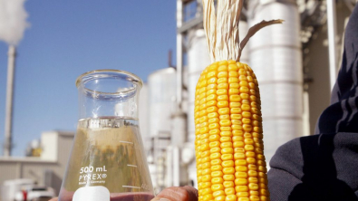 Mato Grosso aposta na industrialização do milho Foto3907
