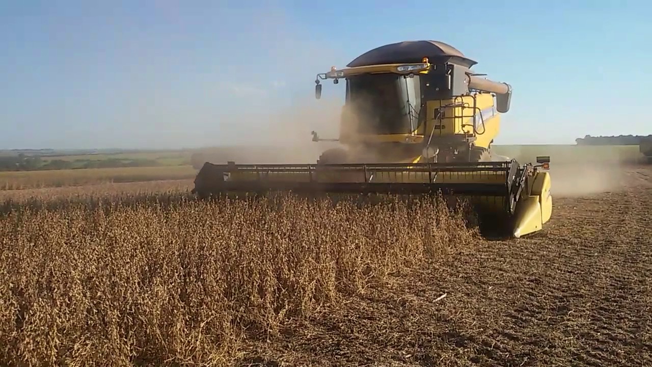 Vendas de soja de Mato Grosso perdem ritmo com queda do preço em abril, diz Imea Foto88526
