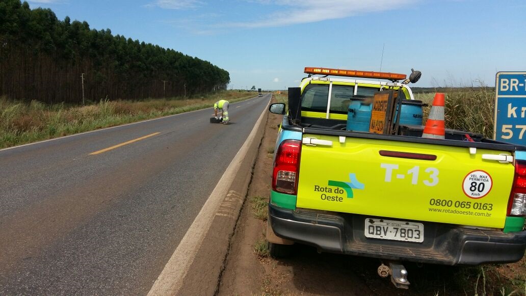 Rota do Oeste já recolheu mais de 2 mil toneladas de lixo na BR-163 Foto25767