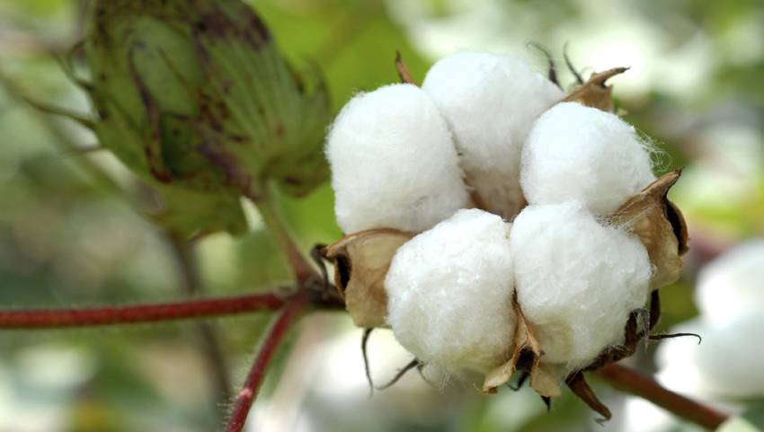 Foto48257