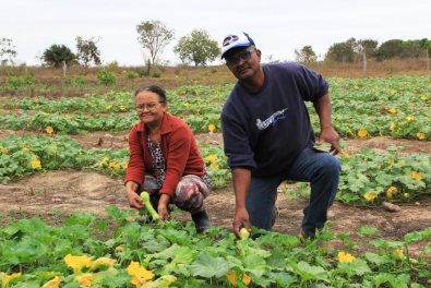 Milhares de agricultores ajudam no desenvolvimento de MT Foto87675
