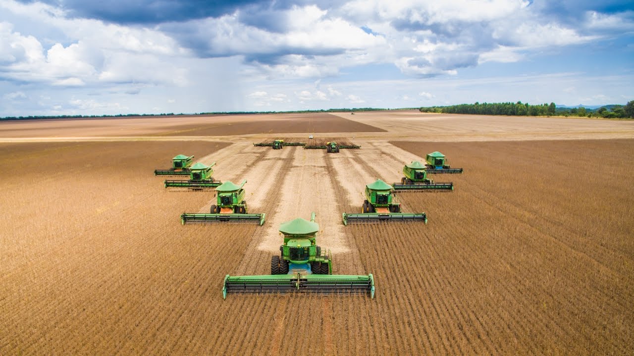 Mato Grosso segue como maior produtor de grãos do país, aponta levantamento da Conab Foto34310
