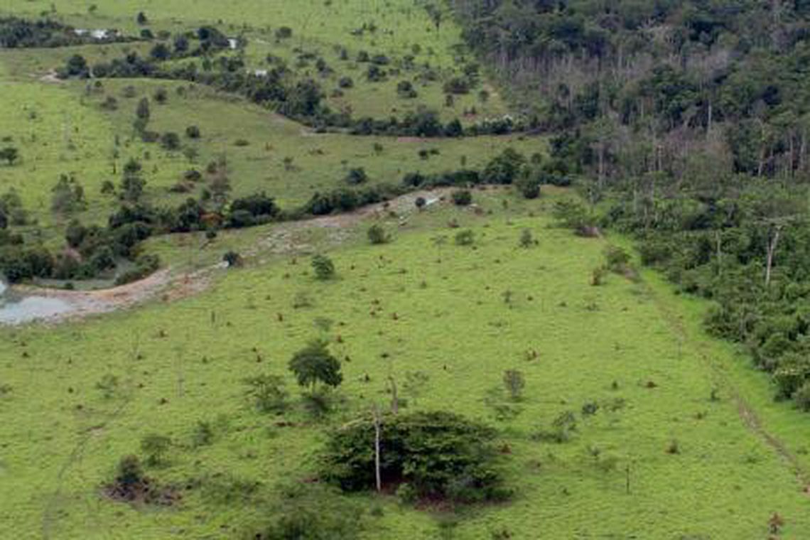 Começa hoje prazo para entrega da declaração de propriedade rural Foto34865