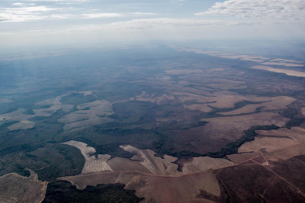 Vetada, autorização para desmatar sem reflorestar volta a plenário dissumulada Foto8191