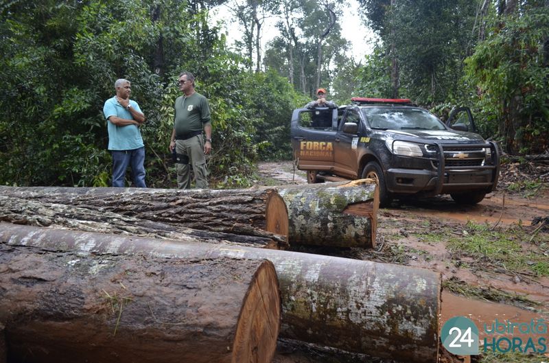 Madeiras apreendidas durante operação do IBAMA são doadas para o município, serão utilizadas em obras Foto92359