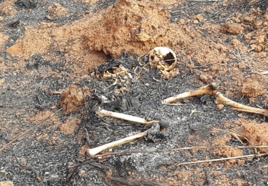 Corpo de Bombeiros de Sorriso encontra ossada humana após controlar incêndio Foto77737