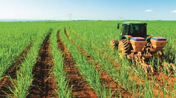 Governo amplia prazos para produtores rurais quitarem dívidas Foto38251
