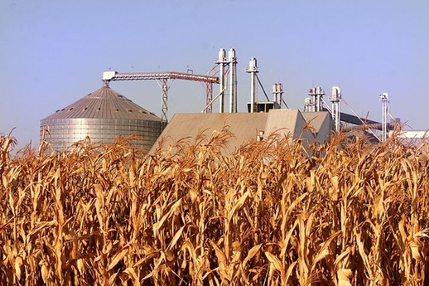 Economia de Mato Grosso tem a maior taxa de crescimento no país, revela IBGE Foto31771