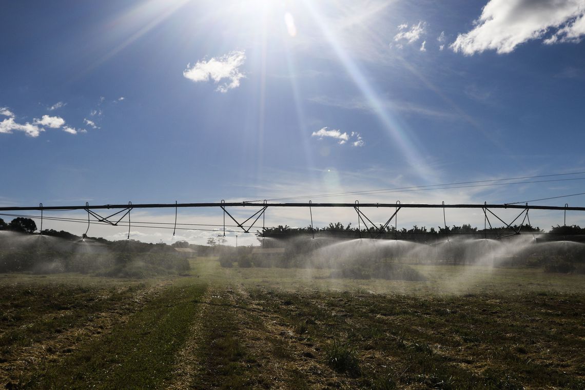 PIB do agronegócio cresce mais que conjunto da economia em 2019 e 2020 Foto26001