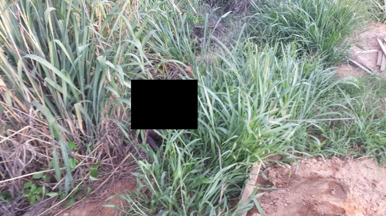 Corpo em avançado estado de decomposição é encontrado em região de mata em Sorriso Foto22424