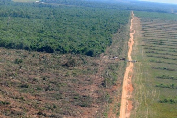 Área com alerta de desmatamento em Mato Grosso sobe 75% Foto85996