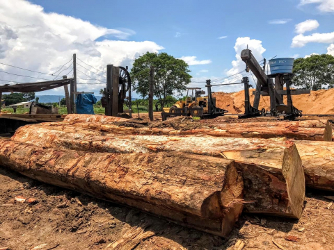 MPF denuncia caso de desmatamento ilegal em terra indígena Foto93406