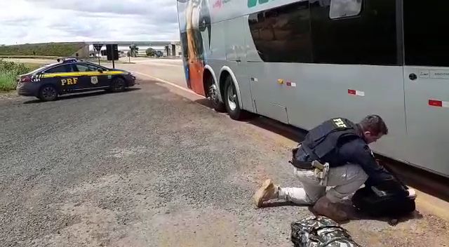 Jovem é preso ao ser flagrando transportando 5 quilos de cocaína em ônibus Foto77509