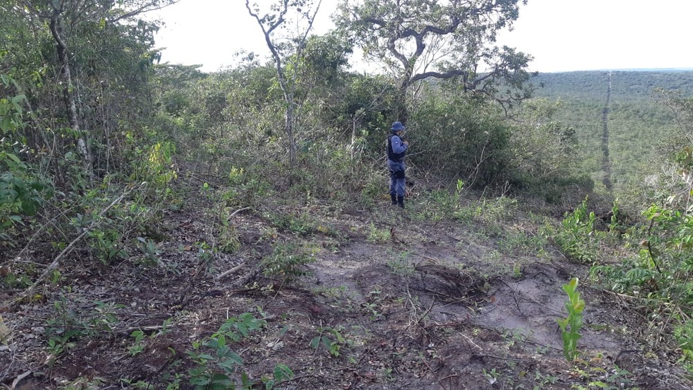 Criminosos usam maquinários para derrubar porteira e invadir duas fazendas em MT Foto20215