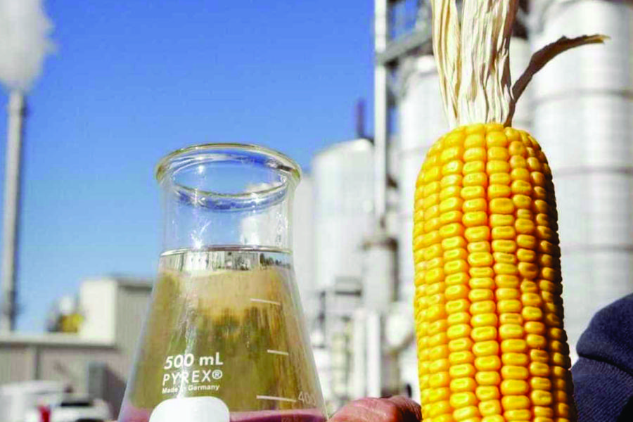Demanda de usinas por milho para a produção de etanol mantém preço do grão e anima produtores Foto49667