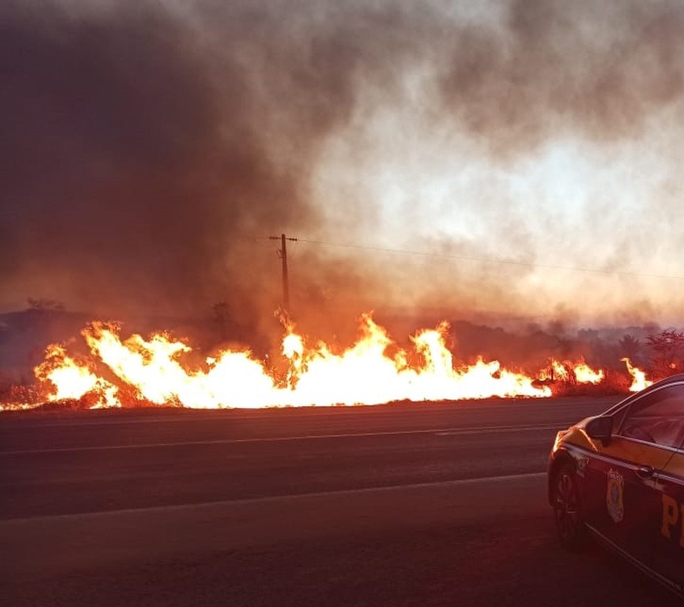 Incêndios em palhadas de milho atingem 800 hectares da vegetação em MT Foto74565