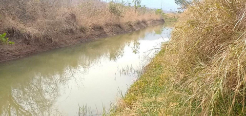 Homem é preso e multado em R$ 900 mil por desvio de rio e mortandade de peixes Foto7442