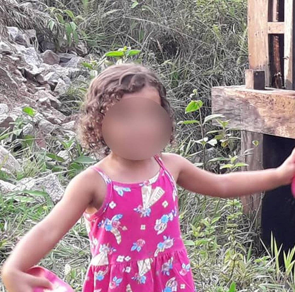 Menina de 3 anos desaparece enquanto avó separava bezerros em sítio e é achada no dia seguinte Foto12210