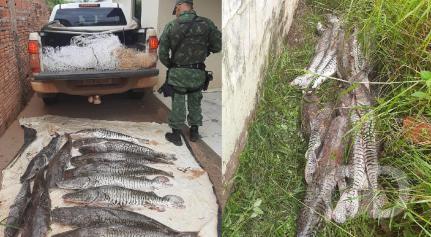 Homem tenta fugir, mas é pego com 112kg de pescado irregular e duas tarrafas de 7 metros Foto92082