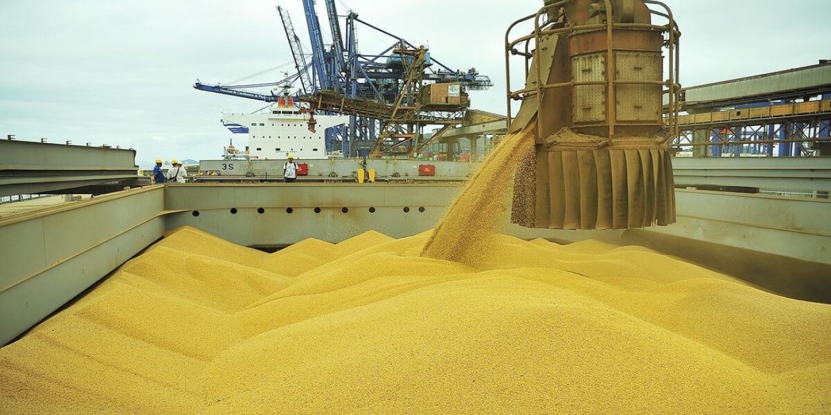 Brasil deve exportar 83 milhões de toneladas de soja em 2021, projeta Safras Foto9948