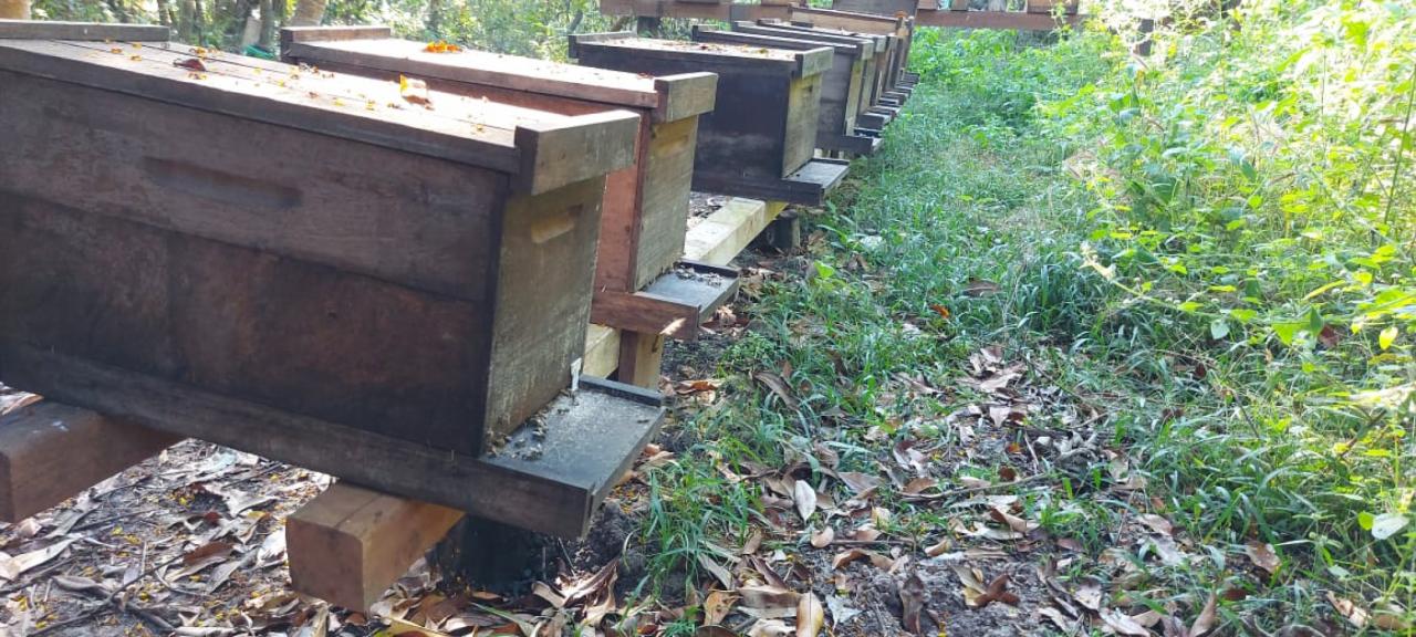 Programa Vitamel reforça a busca por sustentabilidade conciliada ao agronegócio em Sorriso Foto40940