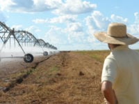 Uso consciente da água, veja como evitar desperdício em lavouras irrigadas Foto72355