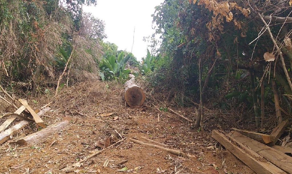 Batalhão Ambiental identifica área de preservação permanente desmatada Foto27044