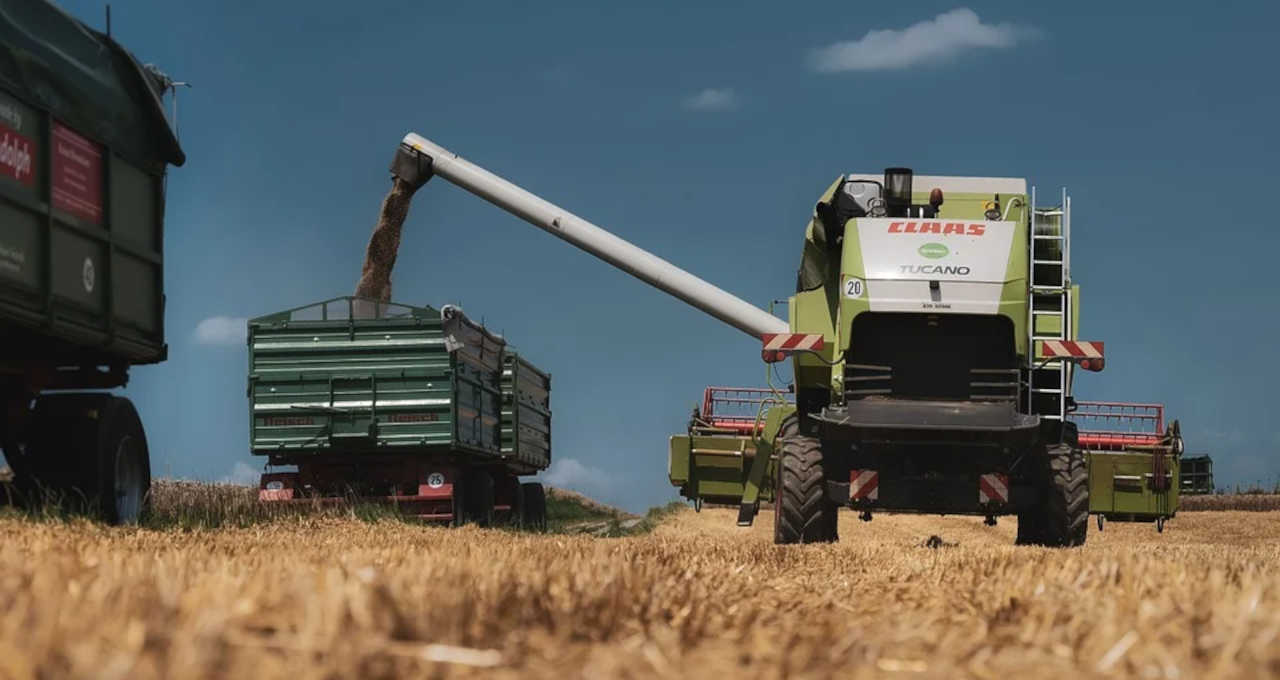 Vendas de soja de MT atingem 37,3% da safra 2021/22 com impulso do dólar, diz Imea Foto32415