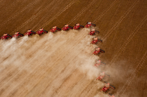 Com alta do dólar, safra agrícola alcançou valor recorde de R$ 470,5 bi Foto88502