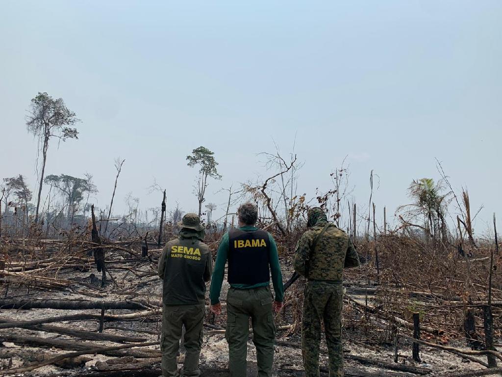 Mato Grosso reduz em 41,5% os alertas de desmatamento em agosto Foto54456