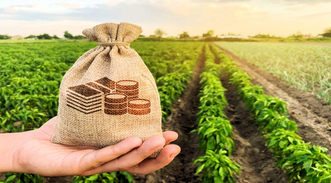 Taxa de juros para financiamento rural pode ficar mais alta em 2022, diz Daoud Foto74749